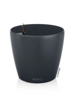 classico_color_anthraki