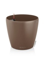 classico_color_brown4