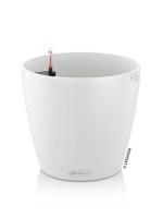 classico_color_white4
