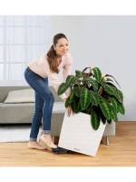 cube_cottage_woman