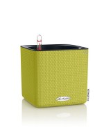 cube_lime