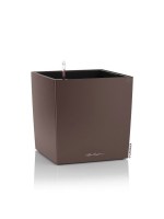 cube_premium_brown
