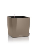 cube_premium_brown_light