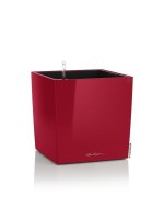 cube_premium_red9