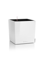 cube_premium_white4
