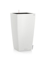 cubico_color_white81