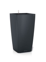 cubicon_premium_anthraki4