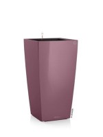 cubicon_premium_special_purple_dark4