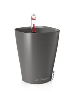 mini_delfini_anthraki8